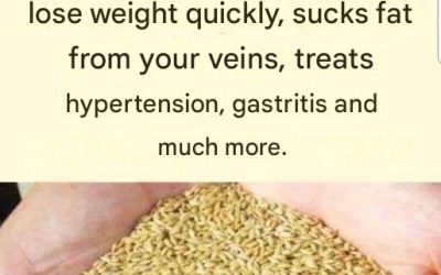 Canary seed water