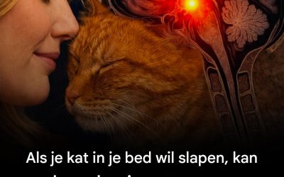 Als je kat in je bed wil slapen, kan de reden je verrassen.