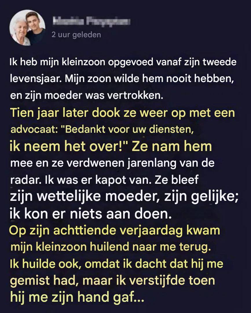 Ze nam mijn kleinzoon van me af nadat ik hem had opgevoed. Jaren later kwam hij terug, veranderd.