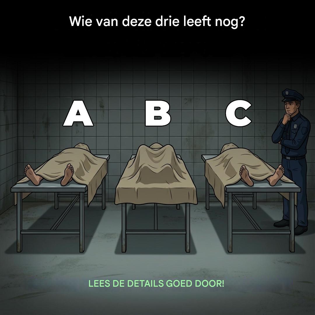 Observatie-uitdaging: Vind de persoon op de foto die nog ademt.