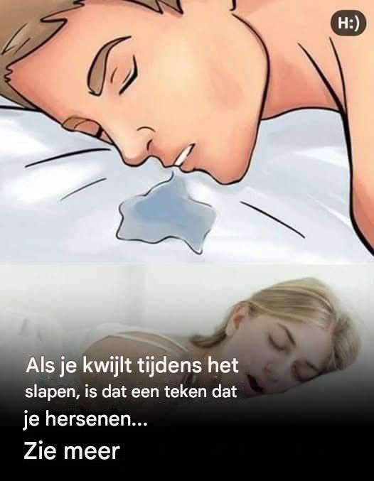 Als je kwijlt tijdens het slapen, is dat een teken dat je hersenen… lees meer in de reacties