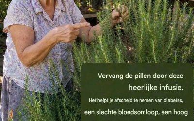 Vervang je pillen door deze heerlijke infusie. Het helpt je afscheid te nemen van diabetes, een slechte bloedsomloop, een hoog cholesterolgehalte, een hoge bloeddruk en vermoeide benen. Hier is het recept; het is heel eenvoudig.