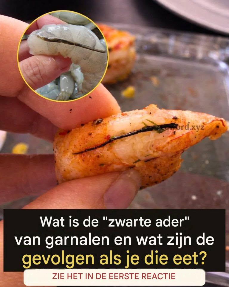 De darmader van de garnaal: verwijderen of laten zitten? Een detail waar veel mensen zich niet van bewust zijn.