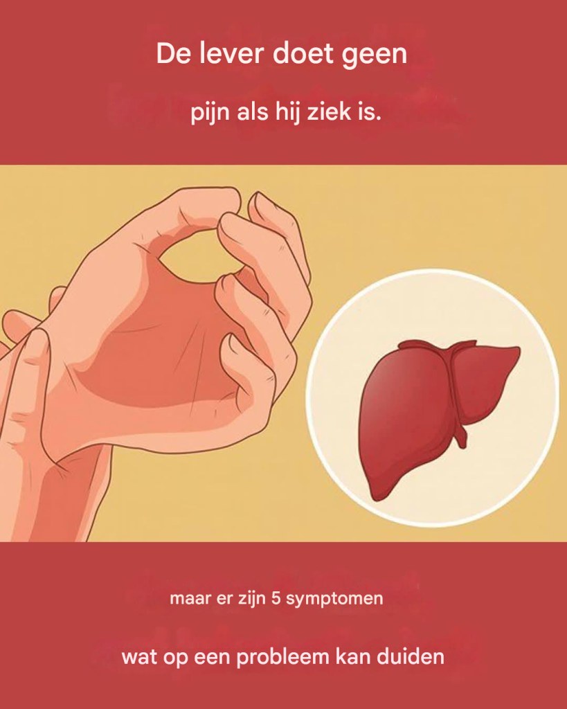 Een zieke lever veroorzaakt geen pijn, maar er zijn 5 symptomen die kunnen wijzen op een leverprobleem.