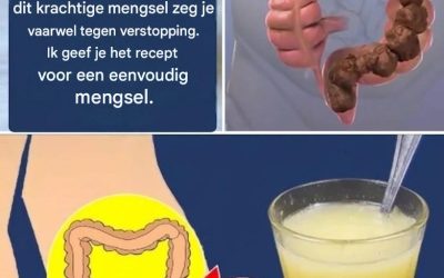 Chiazaad en zwarte melasse – een natuurlijke combinatie voor een uitgebalanceerd dieet