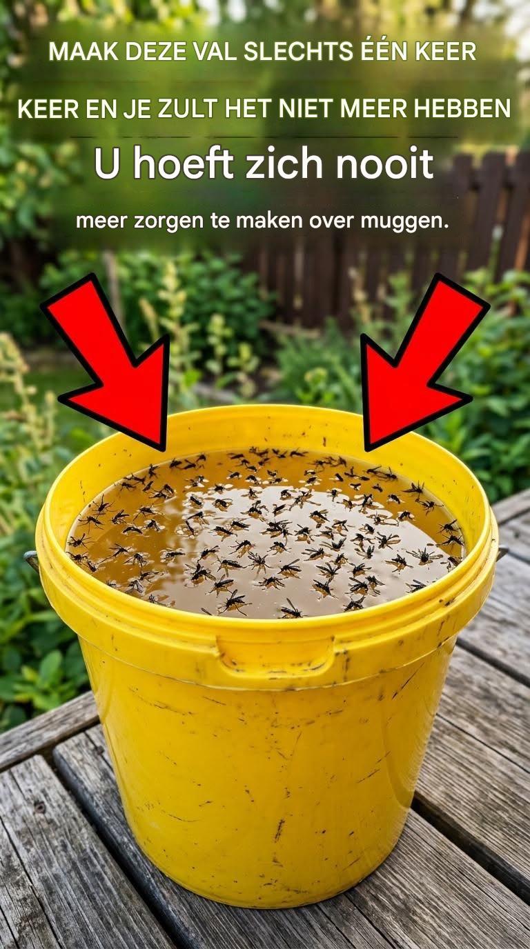 Zelfgemaakte muggenval: een eenvoudige en natuurlijke methode
