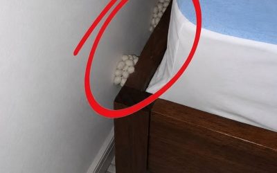 Ik kwam uitgeput thuis in de hoop op een rustige nacht, maar één detail vertelde me dat er iets niet klopte.