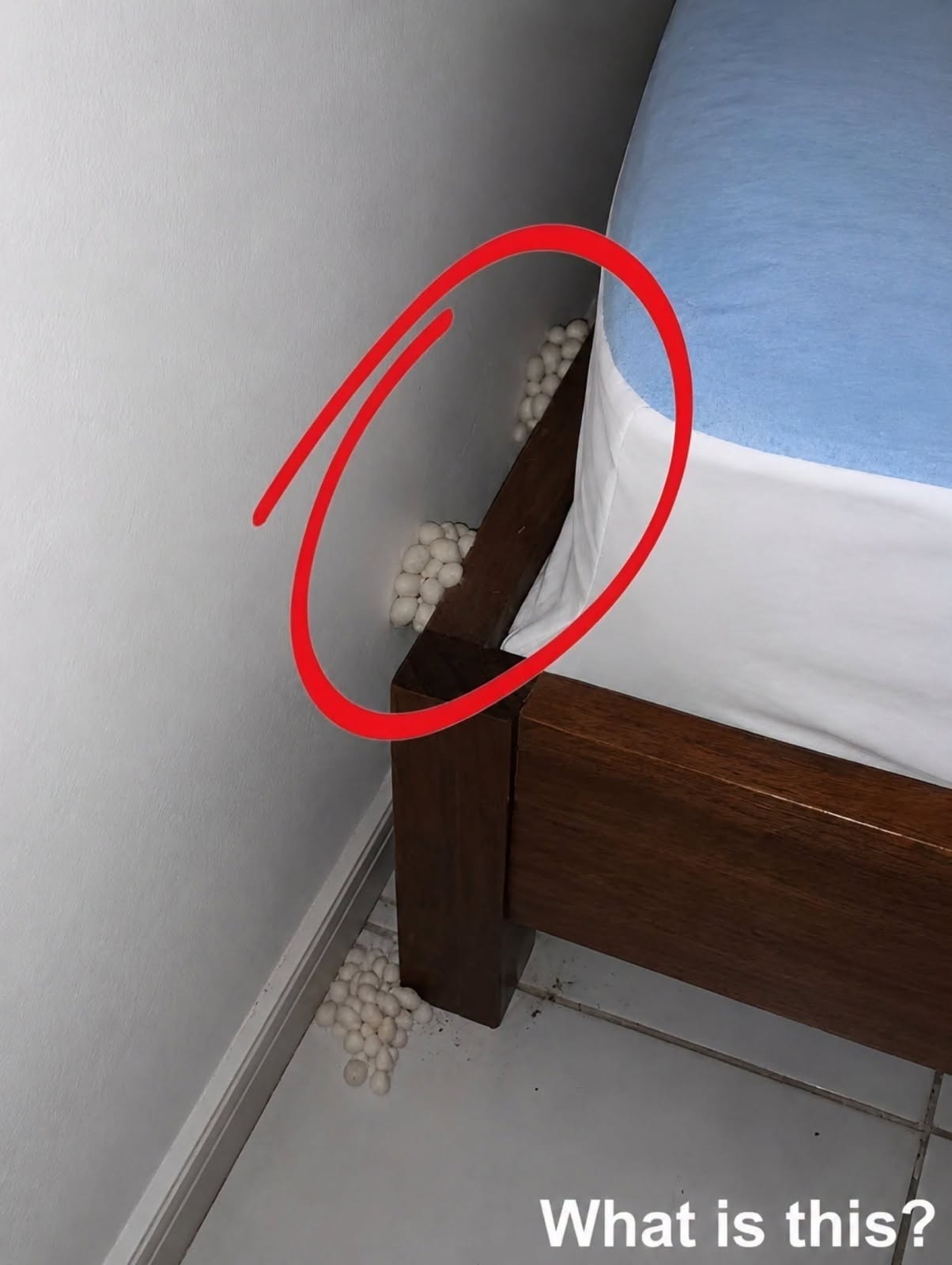 Ik kwam uitgeput thuis in de hoop op een rustige nacht, maar één detail vertelde me dat er iets niet klopte.