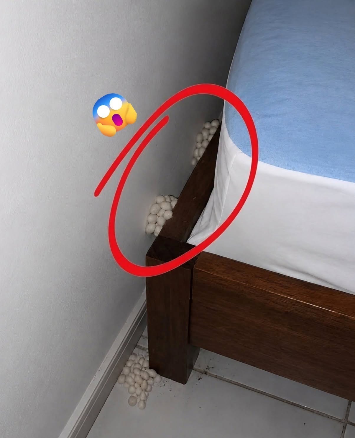 Ik kwam uitgeput thuis in de hoop op een rustige nacht, maar één detail vertelde me dat er iets niet klopte.