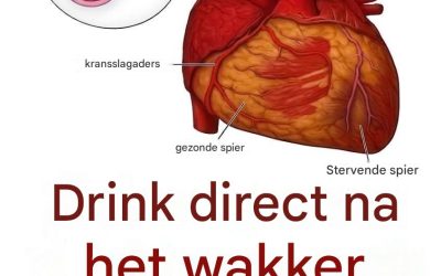 Voordelen van water drinken op een lege maag: wat de wetenschap er echt over zegt