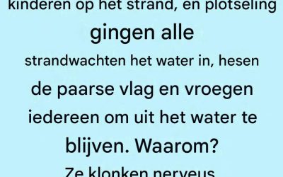 De paarse vlag op het strand: wat die echt betekent (en waarom je er aandacht aan moet besteden)