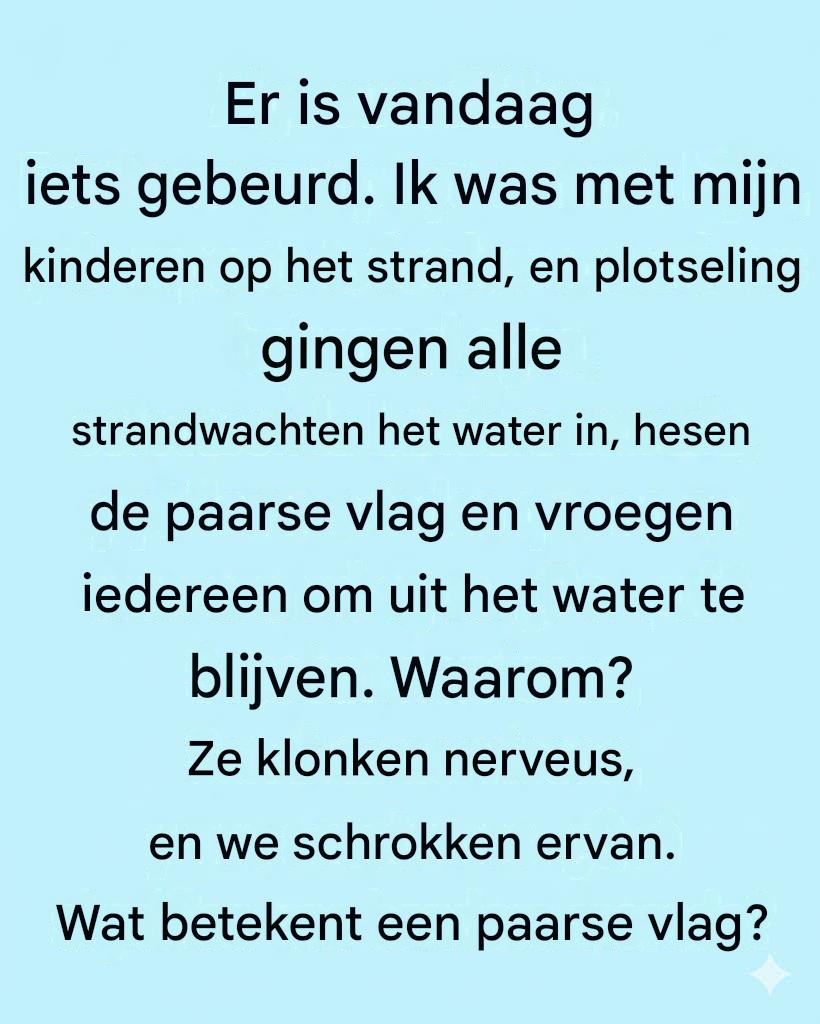 De paarse vlag op het strand: wat die echt betekent (en waarom je er aandacht aan moet besteden)