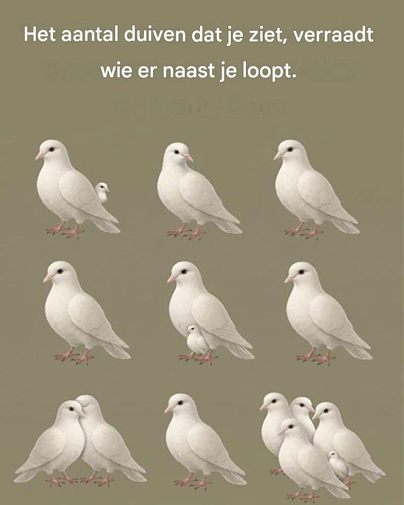 Het aantal duiven dat je ziet, verraadt wie er naast je loopt.