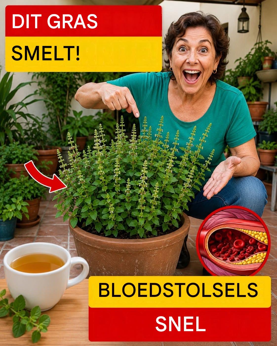 Kruiden die de bloedsomloop in de benen kunnen bevorderen en signalen van bloedstolsels die u niet mag negeren.
