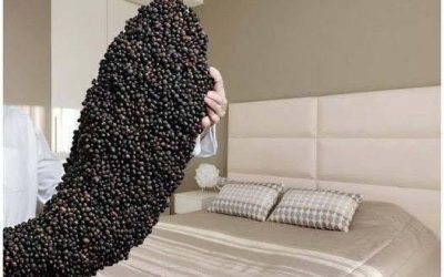 Waarom zou je zwarte peper onder het bed strooien?