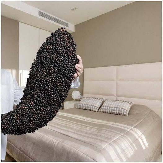 Waarom zou je zwarte peper onder het bed strooien?