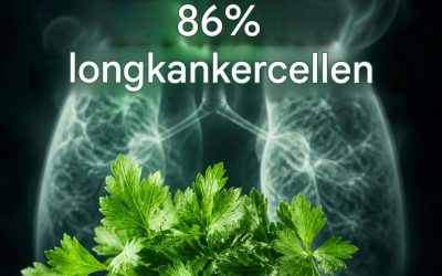 Deze plant doodt 86% van de longkankercellen