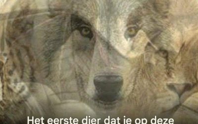 Het eerste dier dat je op deze afbeelding ziet, onthult wie je bent.