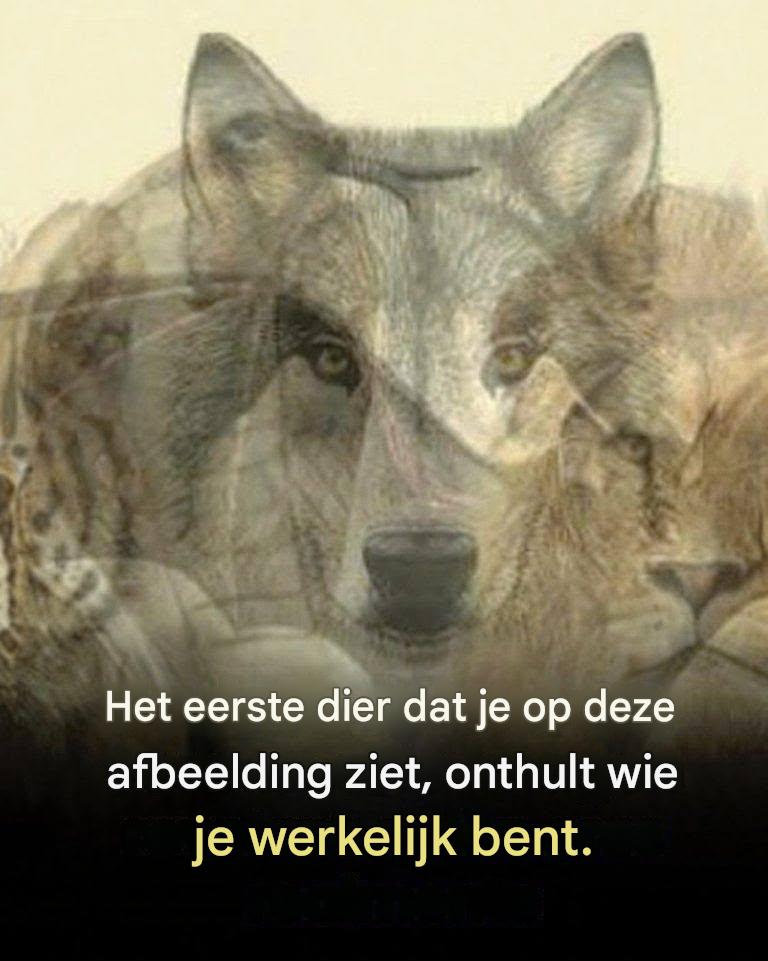 Het eerste dier dat je op deze afbeelding ziet, onthult wie je bent.