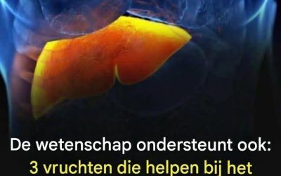 Wetenschappelijke onderbouwing: 3 vruchten die helpen bij de bestrijding van leververvetting en een stabiel bloedsuiker- en cholesterolgehalte ondersteunen.