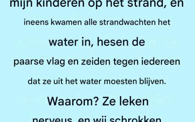 De paarse vlag op het strand: wat betekent die nu eigenlijk?