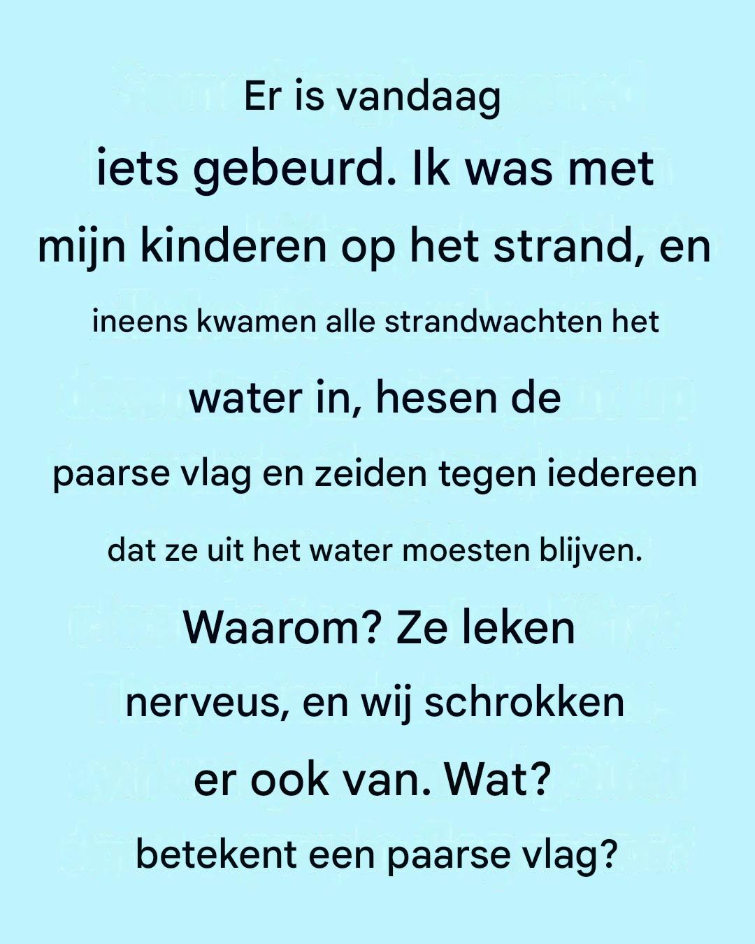 De paarse vlag op het strand: wat betekent die nu eigenlijk?