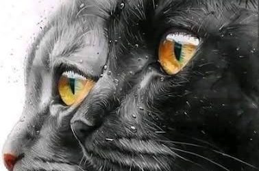 Nostradamus voorspelde dat degenen die een kat in huis hebben… Lees meer