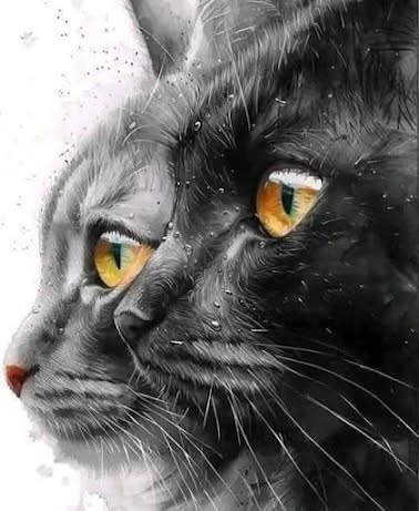 Nostradamus voorspelde dat degenen die een kat in huis hebben… Lees meer