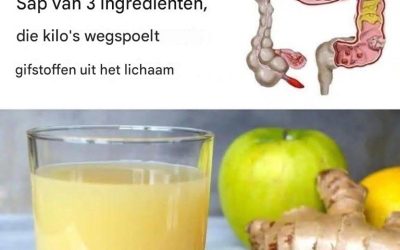 Sap voor darmreiniging: Appels, gember en citroen spoelen gifstoffen uit het lichaam.