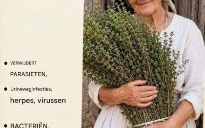 Het krachtigste kruid: de gezondheids- en welzijnsvoordelen van tijm