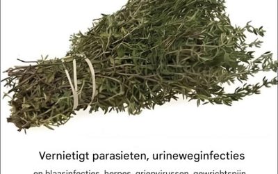 Het is een van de krachtigste planten ter wereld.