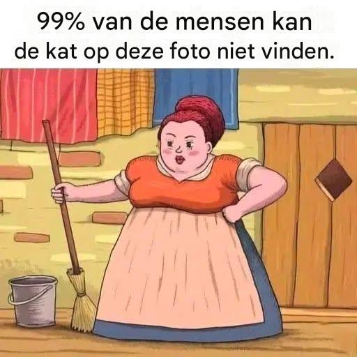 99% van de mensen kan de kat op de foto niet vinden.