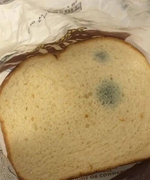 Wat zijn die groene vlekjes op het brood? Ik durf het niet op te eten, laat staan ​​dat ik mijn kinderen ervan laat eten. Mijn schoonmoeder zegt dat het onschadelijk is en dat ik het niet moet weggooien.