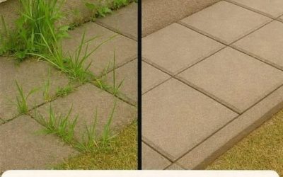 De zelfgemaakte onkruidverdelger die echt werkt (wetenschappelijk onderbouwd, budgetvriendelijk en mild voor je tuin)