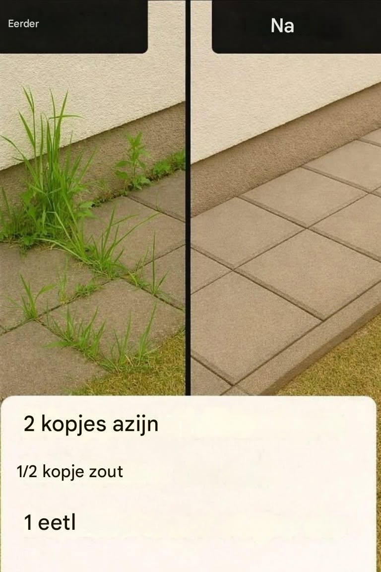De zelfgemaakte onkruidverdelger die echt werkt (wetenschappelijk onderbouwd, budgetvriendelijk en mild voor je tuin)