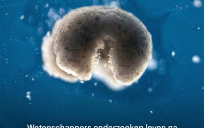 Wetenschappers onderzoeken leven na de dood – en het wordt steeds vreemder.