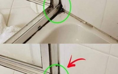 De snelste manier om siliconenschimmel in de douche te verwijderen