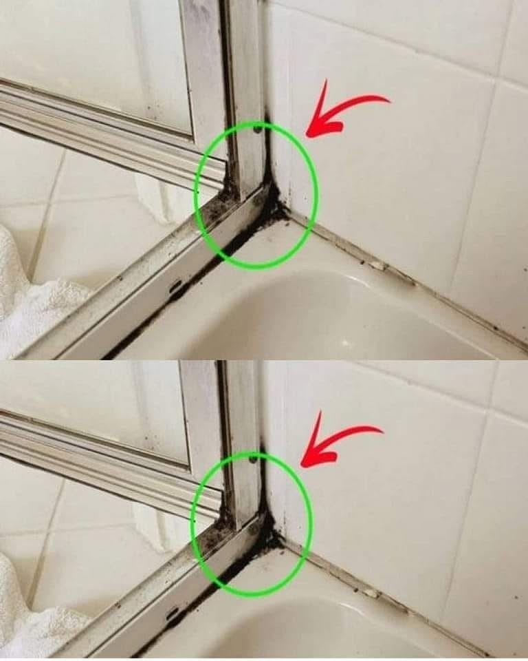 De snelste manier om siliconenschimmel in de douche te verwijderen