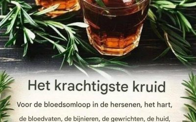 Een ongelooflijk krachtig kruid dat de bloedsomloop in de hersenen, het hart en de bloedvaten, de bijnieren, gewrichten, huid, haar en nog veel meer ondersteunt.