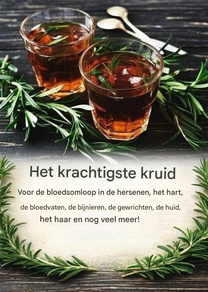 Een ongelooflijk krachtig kruid dat de bloedsomloop in de hersenen, het hart en de bloedvaten, de bijnieren, gewrichten, huid, haar en nog veel meer ondersteunt.