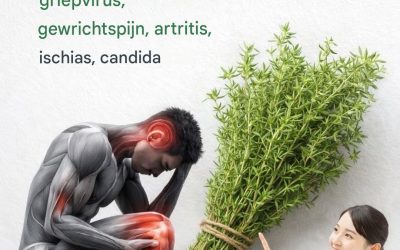 Het krachtigste kruid… Meer details in het eerste reactiegedeelte hieronder.