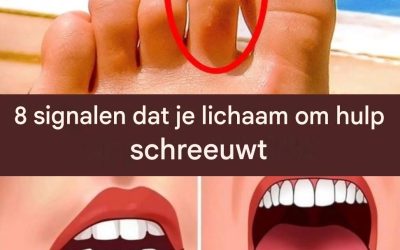 8 signalen dat je lichaam om hulp schreeuwt