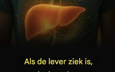Als de lever ziek is, beginnen deze delen pijn te doen.