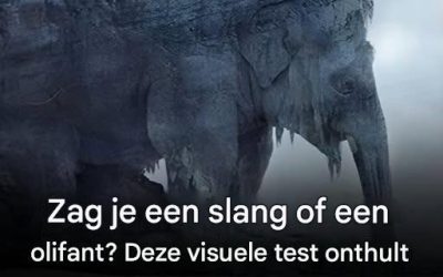 Wat zag je op het eerste gezicht? 97% van de mensen zag een slang! Ontdek of je oude dag bitter of zoet zal zijn!
