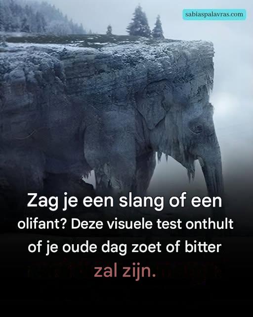 Wat zag je op het eerste gezicht? 97% van de mensen zag een slang! Ontdek of je oude dag bitter of zoet zal zijn!