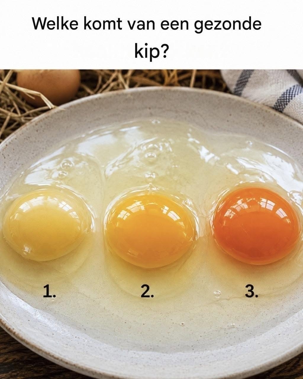 De eidooier die me deed verstijven
