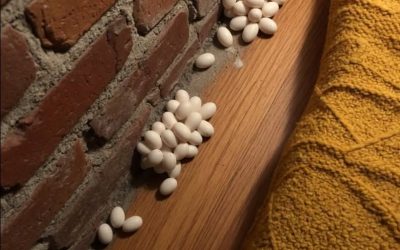 Eieren onder het matras: wat betekent dat allemaal?