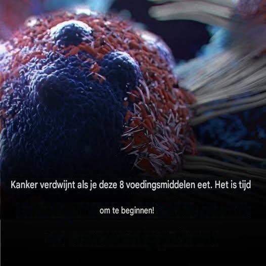 De 8 beste voedingsmiddelen in de strijd tegen kanker: het is tijd om ze aan je dieet toe te voegen.