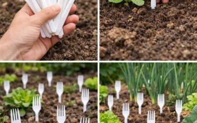 Plastic vorken in de moestuin: alle tuiniers doen het – en de reden is geniaal.