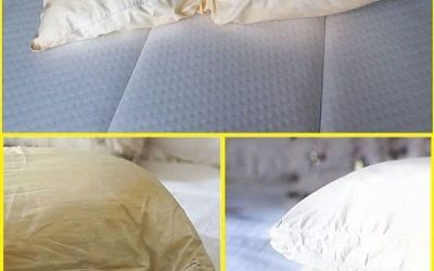 Home Zo maak je vuile kussens schoon, zodat ze weer wit en fris ruiken… Zo maak je vuile kussens schoon, zodat ze weer wit en fris ruiken…